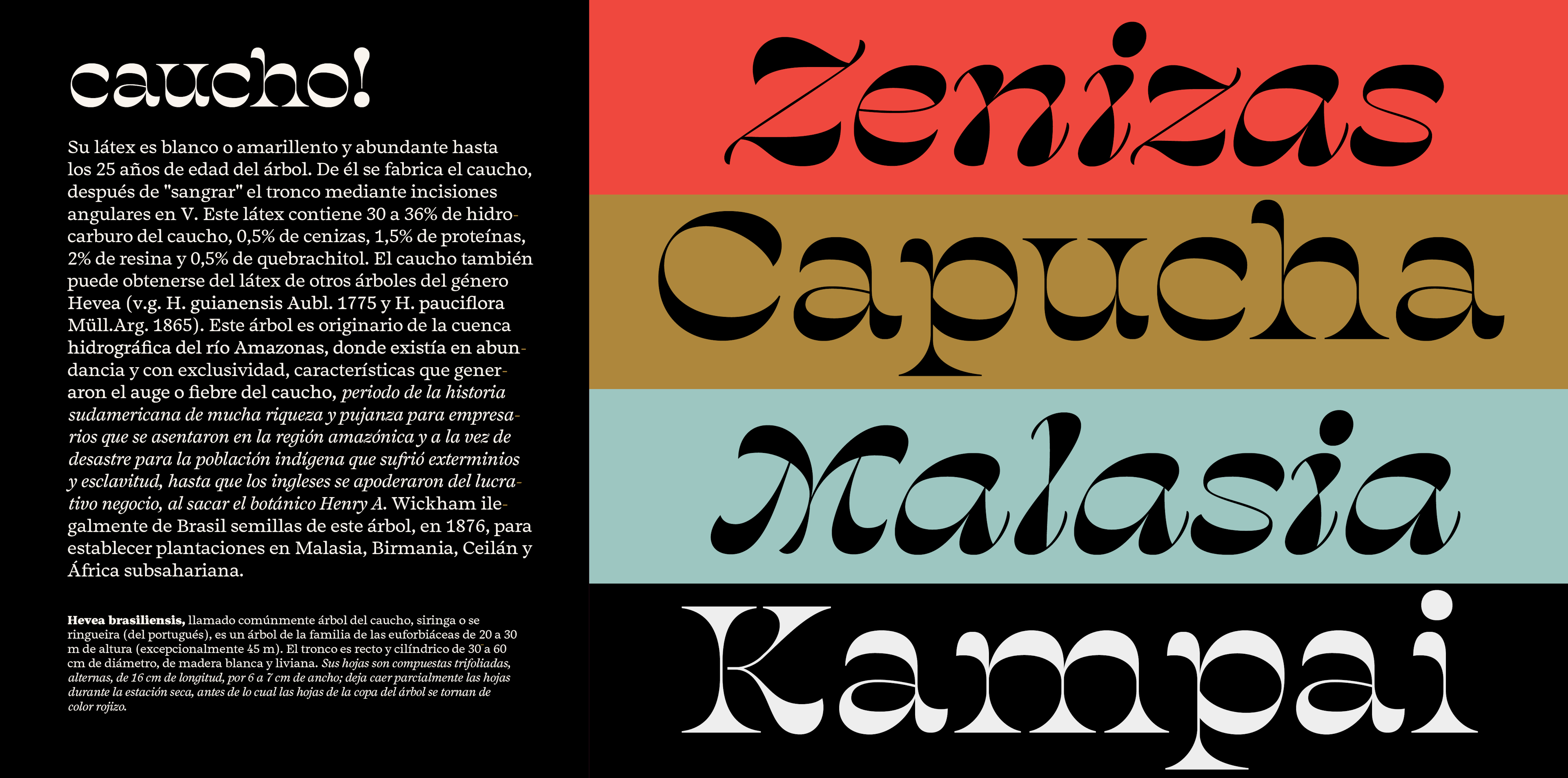 Image of Salvaje typeface project from Cristian Vargas